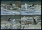 (05) gorda bash surf montage.jpg    (1000x720)    345 KB                              click to see enlarged picture